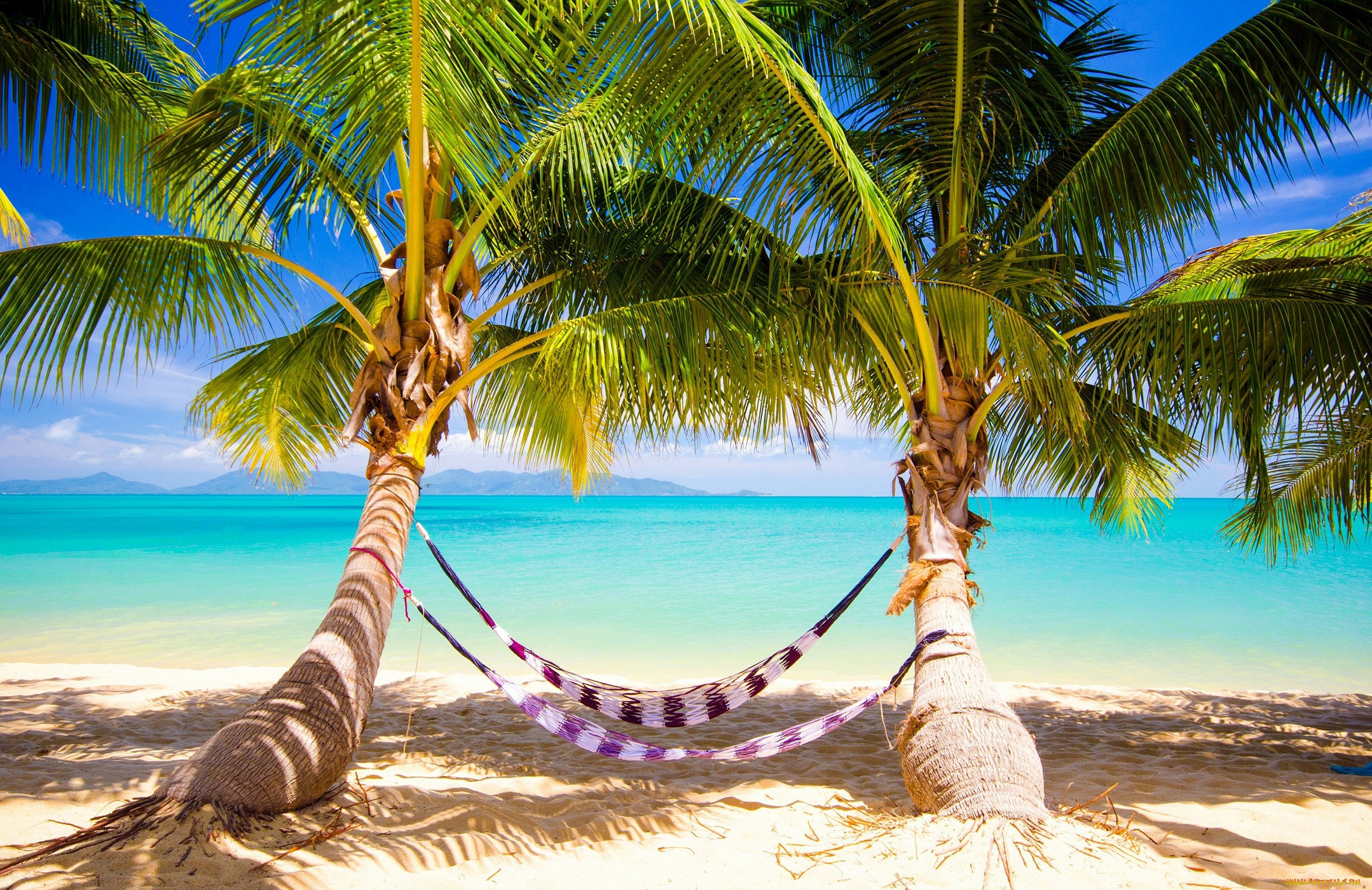 , , vacation, sunshine, summer, ocean, sea, palms, beach, , , , , , hammock, tropical, paradise